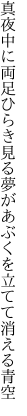 真夜中に両足ひらき見る夢が あぶくを立てて消える青空