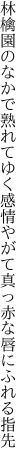 林檎園のなかで熟れてゆく感情 やがて真っ赤な唇にふれる指先