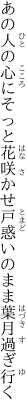 あの人の心にそっと花咲かせ 戸惑いのまま葉月過ぎ行く