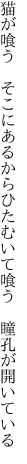 猫が喰う そこにあるからひたむいて喰う 　瞳孔が開いている