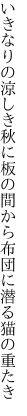 いきなりの涼しき秋に板の間から 布団に潜る猫の重たき