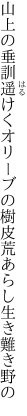 山上の垂訓遥けくオリーブの 樹皮荒あらし生き難き野の