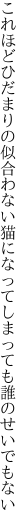 これほどひだまりの似合わない猫に なってしまっても誰のせいでもない