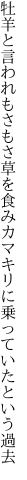 牡羊と言われもさもさ草を食み カマキリに乗っていたという過去