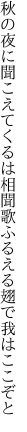 秋の夜に聞こえてくるは相聞歌 ふるえる翅で我はここぞと