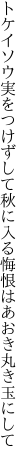 トケイソウ実をつけずして秋に入る 悔恨はあおき丸き玉にして