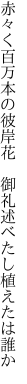 赤々く百万本の彼岸花 　御礼述べたし植えたは誰か