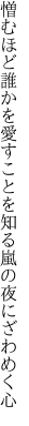 憎むほど誰かを愛すことを知る 嵐の夜にざわめく心