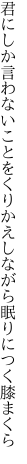 君にしか言わないことをくりかえし ながら眠りにつく膝まくら