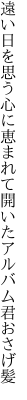 遠い日を思う心に恵まれて 開いたアルバム君おさげ髪