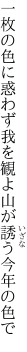 一枚の色に惑わず我を観よ 山が誘う今年の色で