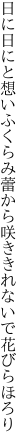 日に日にと想いふくらみ蕾から 咲ききれないで花びらほろり