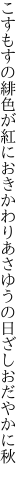 こすもすの緋色が紅におきかわり あさゆうの日ざしおだやかに秋 