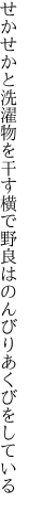 せかせかと洗濯物を干す横で 野良はのんびりあくびをしている