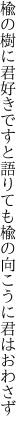 楡の樹に君好きですと語りても 楡の向こうに君はおわさず