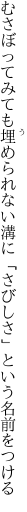 むさぼってみても埋められない溝に 「さびしさ」という名前をつける