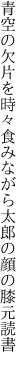 青空の欠片を時々食みながら 太郎の顔の膝元読書