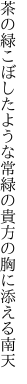 茶の緑こぼしたような常緑の 貴方の胸に添える南天