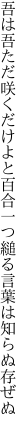 吾は吾ただ咲くだけよと百合一つ 縋る言葉は知らぬ存ぜぬ