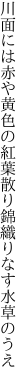 川面には赤や黄色の紅葉散り 錦織りなす水草のうえ