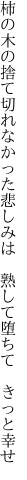 柿の木の捨て切れなかった悲しみは　 熟して堕ちて　きっと幸せ