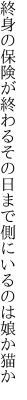 終身の保険が終わるその日まで 側にいるのは娘か猫か