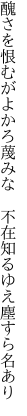 醜さを恨むがよかろ蔑みな 　不在知るゆえ塵すら名あり