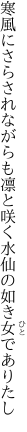 寒風にさらされながらも凛と咲く 水仙の如き女でありたし