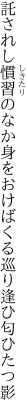 託されし慣習のなか身をおけば くる巡り逢ひ匂ひたつ影