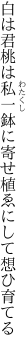 白は君桃は私一鉢に 寄せ植ゑにして想ひ育てる