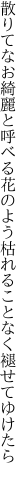 散りてなお綺麗と呼べる花のよう 枯れることなく褪せてゆけたら