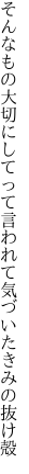 そんなもの大切にしてって 言われて気づいたきみの抜け殻