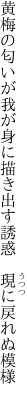 黄梅の匂いが我が身に描き出す 誘惑　現に戻れぬ模様