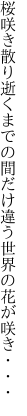 桜咲き散り逝くまでの間だけ 違う世界の花が咲き・・・