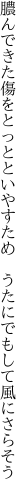 膿んできた傷をとっとといやすため　 うたにでもして風にさらそう