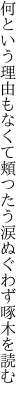 何という理由もなくて頬つたう 涙ぬぐわず啄木を読む