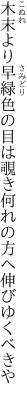 木末より早緑色の目は覗き 何れの方へ伸びゆくべきや