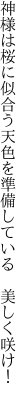 神様は桜に似合う天色を 準備している　美しく咲け！