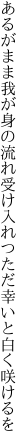 あるがまま我が身の流れ受け入れつ ただ幸いと白く咲けるを