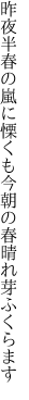 昨夜半春の嵐に慄くも 今朝の春晴れ芽ふくらます