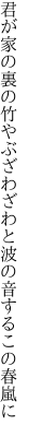 君が家の裏の竹やぶざわざわと 波の音するこの春嵐に