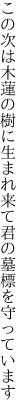 この次は木蓮の樹に生まれ来て 君の墓標を守っています