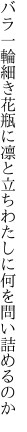 バラ一輪細き花瓶に凛と立ち わたしに何を問い詰めるのか