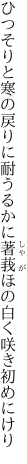 ひつそりと寒の戻りに耐うるかに 著莪ほの白く咲き初めにけり