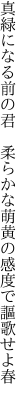 真緑になる前の君　柔らかな 萌黄の感度で謳歌せよ春