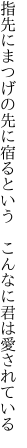 指先にまつげの先に宿るという　 こんなに君は愛されている