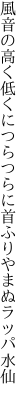 風音の高く低くにつらつらに 首ふりやまぬラッパ水仙