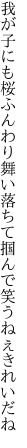 我が子にも桜ふんわり舞い落ちて 掴んで笑うねぇきれいだね