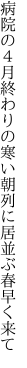 病院の４月終わりの寒い朝 列に居並ぶ春早く来て