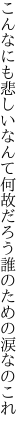 こんなにも悲しいなんて何故だろう 誰のための涙なのこれ